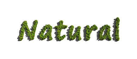 text create by tree for the natural conceptの写真素材