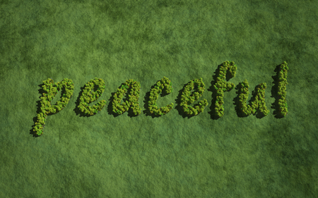 text create by tree for the natural conceptの写真素材