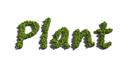 text create by tree for the natural conceptの写真素材