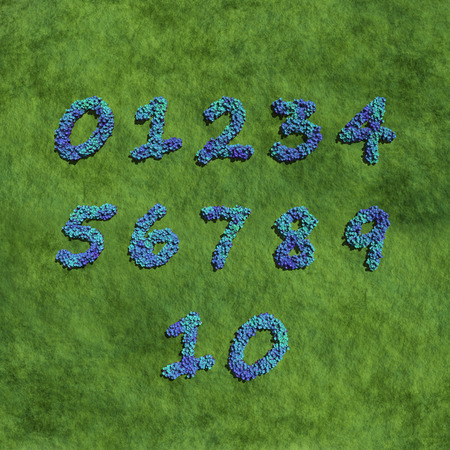 numbers create by blue flowers with grass