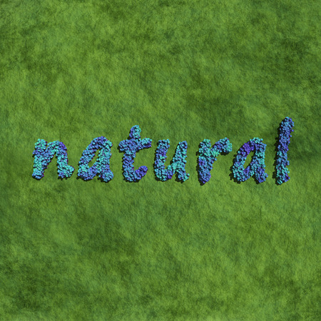 natural create by blue flowers with grassの写真素材