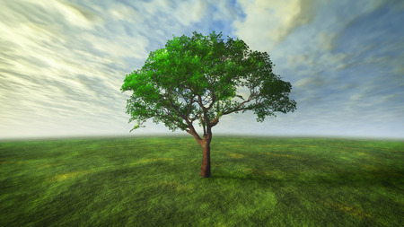 3D cloud and tree with green conceptの写真素材