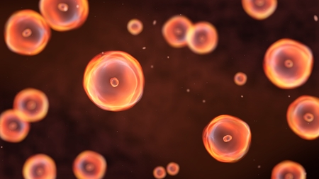 Abstract illustration of cells in mitosis and multiplication of cells for beauty and biology conceptの写真素材