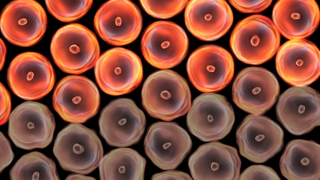 Abstract illustration of cells in mitosis and multiplication of cells for beauty and biology conceptの写真素材