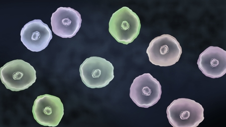 Abstract illustration of cells in mitosis and multiplication of issue for represent virus and healing conceptの写真素材