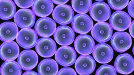 Abstract illustration of cells in mitosis and multiplication of cells for beauty and biology conceptの写真素材