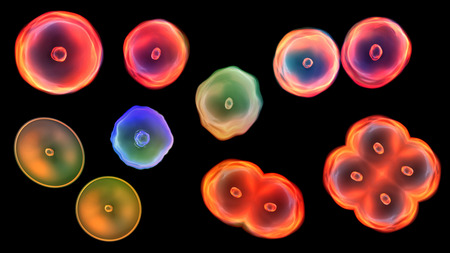 Abstract illustration of cells in mitosis and multiplication of cells for beauty and biology conceptの写真素材