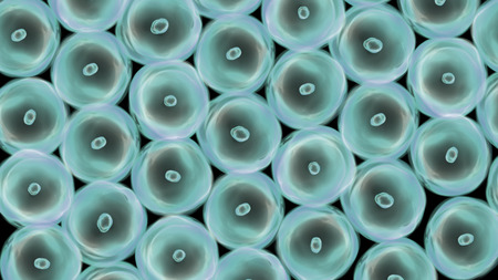 Abstract illustration of cells in mitosis and multiplication of cells for beauty and biology conceptの写真素材