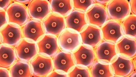 Abstract illustration of cells in mitosis and multiplication of cells for beauty and biology conceptの写真素材