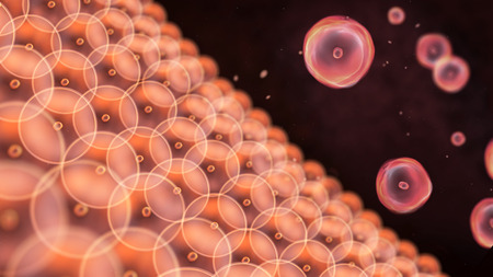 Abstract illustration of cells in mitosis and multiplication of cells for beauty and biology conceptの写真素材
