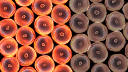 Abstract illustration of cells in mitosis and multiplication of cells for beauty and biology conceptの写真素材