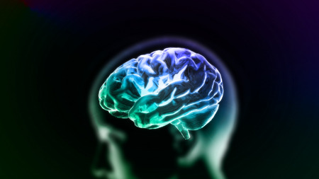 the crystal brain render for medical and biology conceptの写真素材