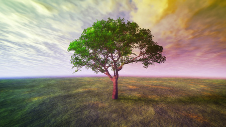3D cloud and tree with green conceptの写真素材
