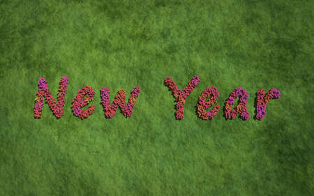 New year text flower with grass background concept of typographyの写真素材