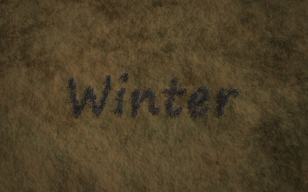 winter text with grass background concept of typographyの写真素材
