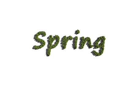 spring text tree with white background concept of typographyの写真素材