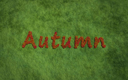 Autumn tree text with grass background concept of typographyの写真素材