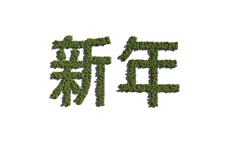 New year chinese text tree with white background concept of typographyの写真素材