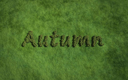 Autumn text tree with grass background concept of typographyの写真素材