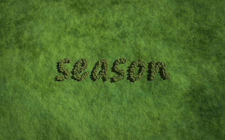 season text tree with grass background concept of typographyの写真素材