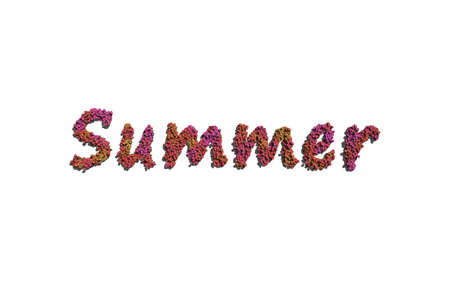 summer text flower with white background concept of typographyの写真素材