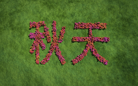 Autumn chinese text flower with grass background concept of typographyの写真素材