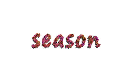 season text flower with white background concept of typographyの写真素材