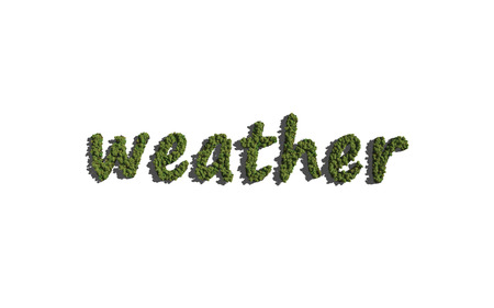 weather text tree with white background concept of typographyの写真素材