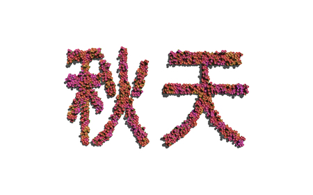 Autumn chinese text flower with white background concept of typographyの写真素材