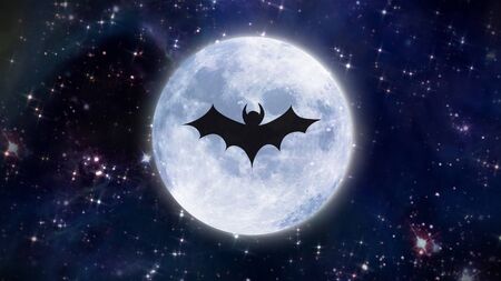 bat shadow at the white halloween moonの写真素材
