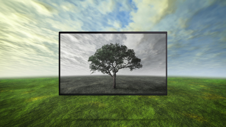 led tv display on wild represent the real color technology
