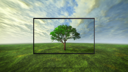 led tv display on wild represent the real color technologyの写真素材