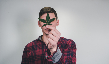Person holding medical marijuana leaf in hands. Cannabis leaves. Herbal medicine