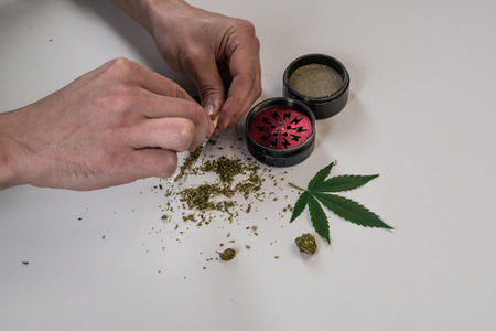 The man rolling medical marijuana joint whith transparent paper. Marijuana buds, weed, leaf and...