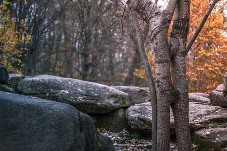 Autumn landscape in the national park Sofiivka, Uman, Ukraine. The most beautiful plases of Europe