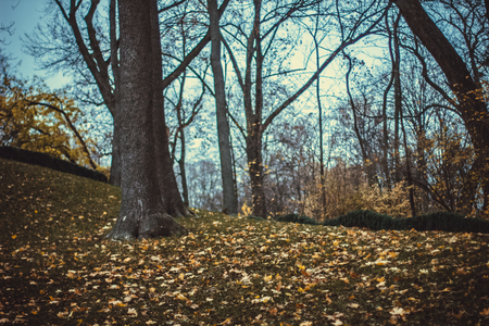 Autumn landscape in the national park Sofiivka, Uman, Ukraine. The most beautiful plases of Europeの写真素材