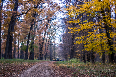 Autumn landscape in the national park Sofiivka, Uman, Ukraine. The most beautiful plases of Europeの写真素材