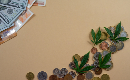 Money and marijuana leaves lying on yellow backgroud. Coins and bills concept of success. Medical marijuana leaves are lying on coinsの写真素材