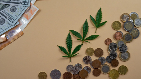 Money and marijuana leaves lying on yellow backgroud. Coins and bills concept of success. Medical marijuana leaves are lying on coinsの写真素材