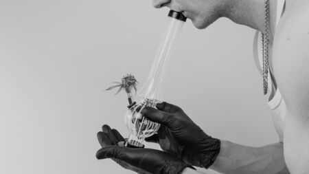 The person hold in his hand bong with fresh medical marijuana buds. Concept of smoking cannabis. Hemp is a herbal medicineの写真素材