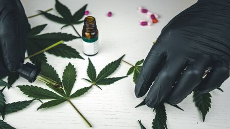The person uses hemp oil, close-up. Cannabis oil, leaves and buds are on the white table. Marijuana is medicine. Hemp is a concept of herbal medicineの写真素材