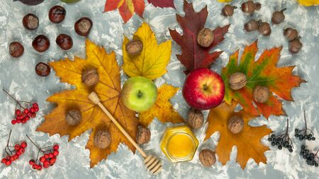 Flat lay autumn composition made of autumn leaves, acorn, honey and apples on pastel grey background, top view with copy spaceの写真素材