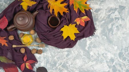 Flat lay autumn composition made of heat scarf autumn leaves, ash berry and tea with honey on pastel grey background, top view with copy spaceの写真素材