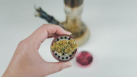 Close-up of female hand holding medical marijuana buds. Smoking cannabis. Hemp is a concept of herbal medicine.の写真素材