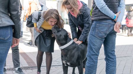 Kyiv, Ukraine - September 21, 2019: Festival Â«ZOOBonus festÂ», cute pets with them owners have a rest outdoorsのeditorial素材
