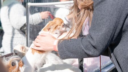 Kyiv, Ukraine - September 21, 2019: Festival Â«ZOOBonus festÂ», cute pets with them owners have...