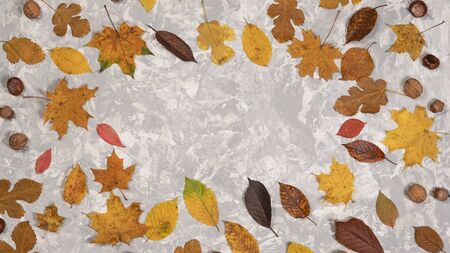 Frame made of dried orange and yellow autumn leaves, pastel colors. Autumn composition. Concepts of...