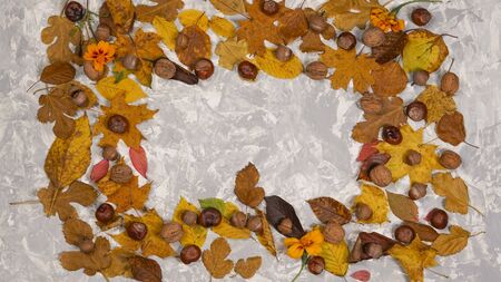 Frame made of dried orange and yellow autumn leaves, pastel colors. Autumn composition. Concepts of...