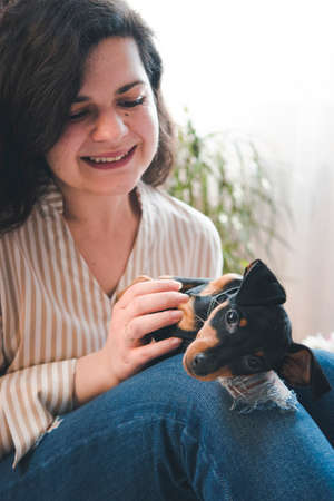 The young happy woman played with a cute little puppy. Black and tan miniature pinscher in the females handの写真素材