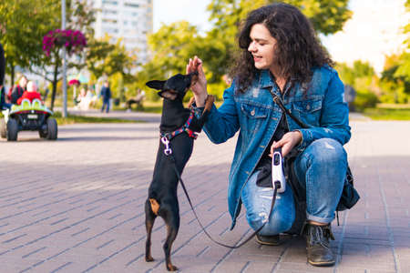 Young woman playing and training her little dog outdoors. Black and Tan miniature pinscher female dog with owner in a parkの写真素材